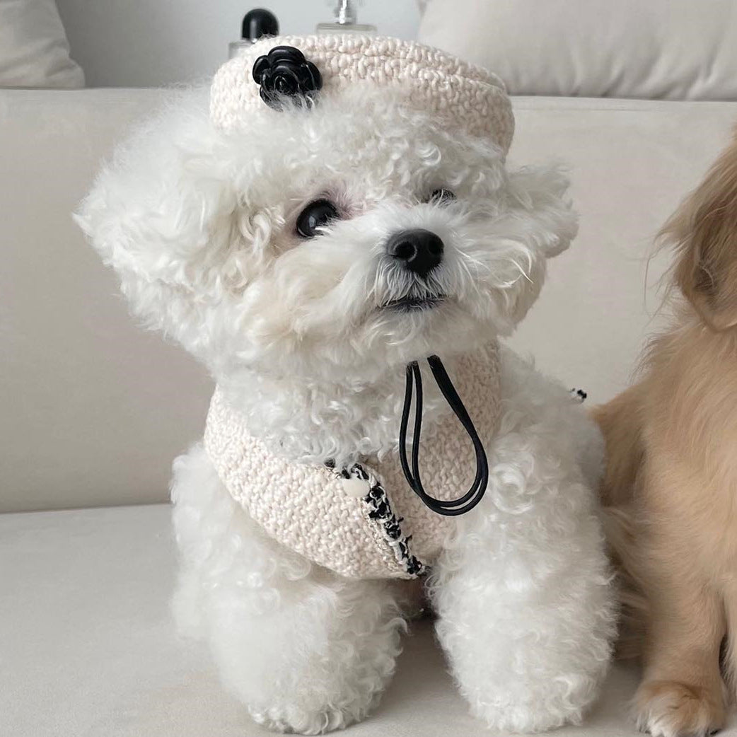 Pet Beanie Hat – Cozy Knitted Winter Hat for Dogs & Cats