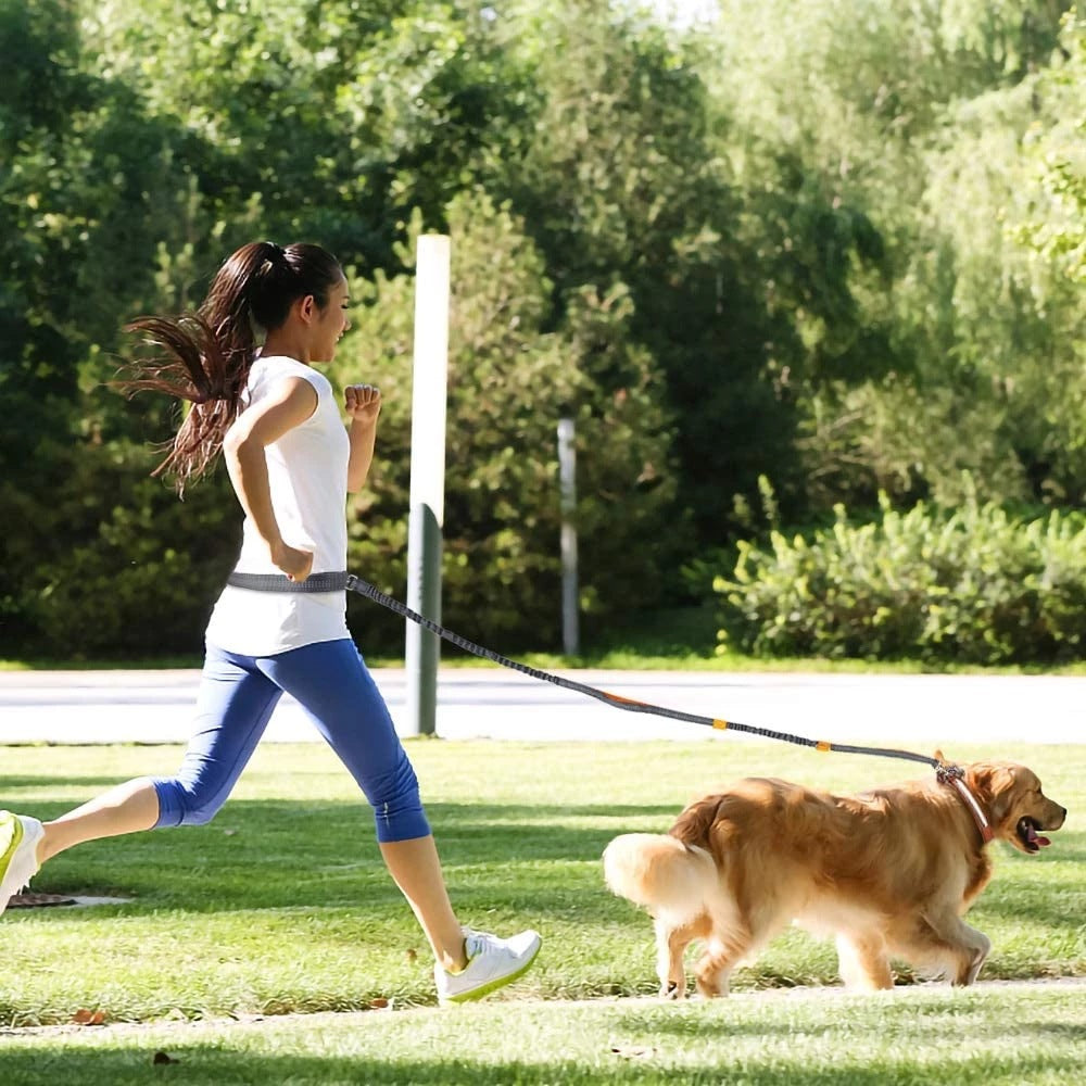 Dog Harness Collar Leash Set Adjustable No Pull Pet Jogging Training Walking System