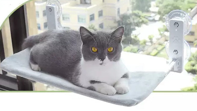 Cat Window Hammock Suction Cup Bed – Space Saving Sunbathing Perch for Indoor Cats