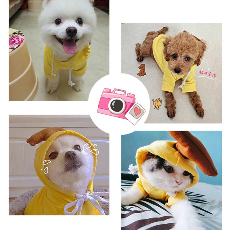 Cozy Dog Hoodie for Small Dogs – Cute Fruit Winter Pet Clothing Outfit