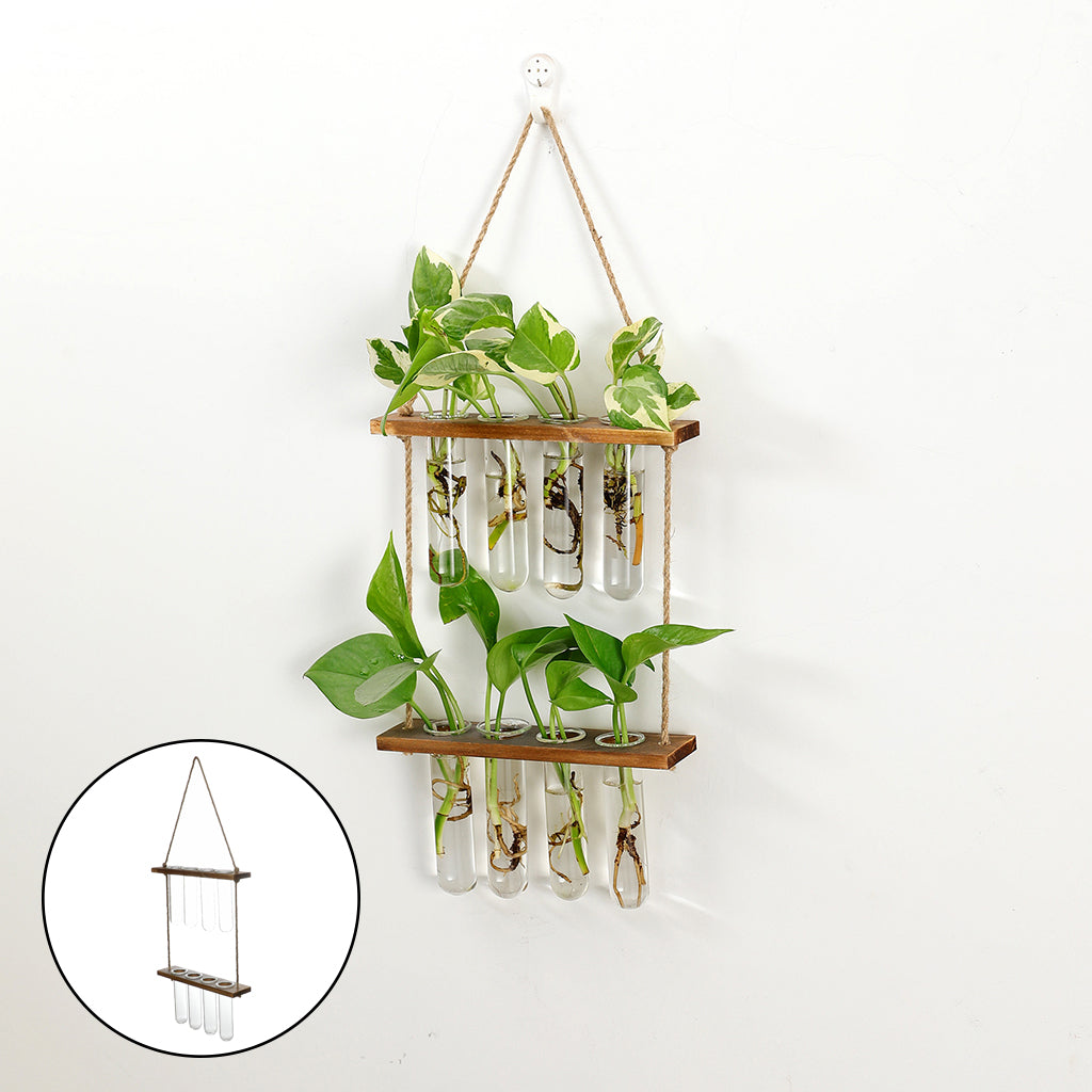 Hanging Glass Plant Propagator – Modern Wall Planter for Home & Office Decor