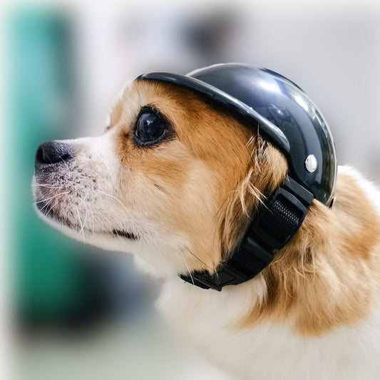 Pet Motorcycle Helmet – Cute Dog & Cat Safety Riding Helmet Accessories