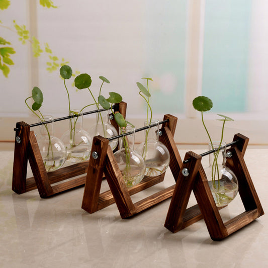 Hydroponic Glass Vase with Wooden Stand – Modern Indoor Plant Propagation Station Home Decor