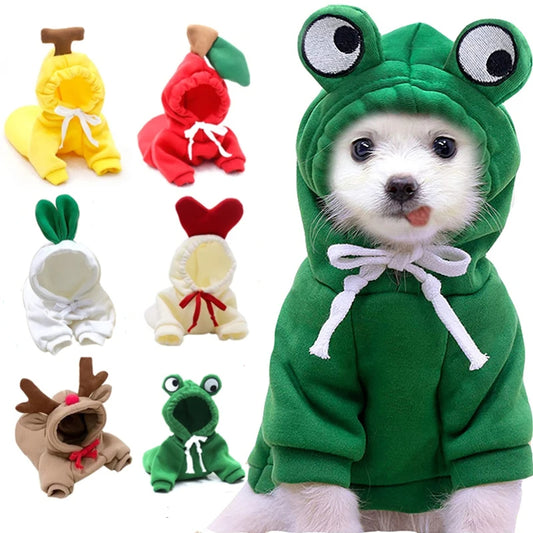 Cozy Dog Hoodie for Small Dogs – Cute Fruit Winter Pet Clothing Outfit