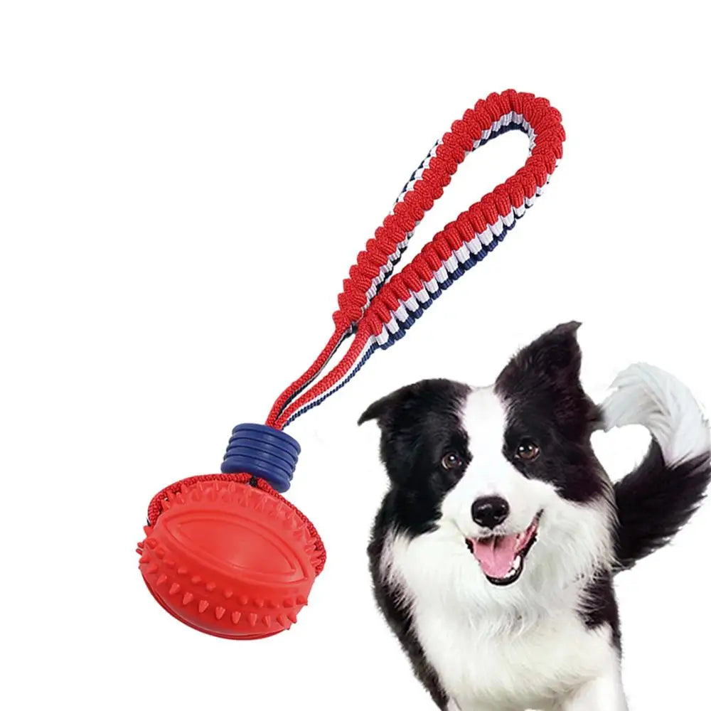 Interactive Dog Ball Toy – Rope Chew Toy for Puppy Teething, Training & Play