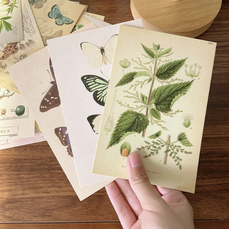 Nature Wall Decor Postcards – Forest Plant Series Wall Stickers for Home Decor