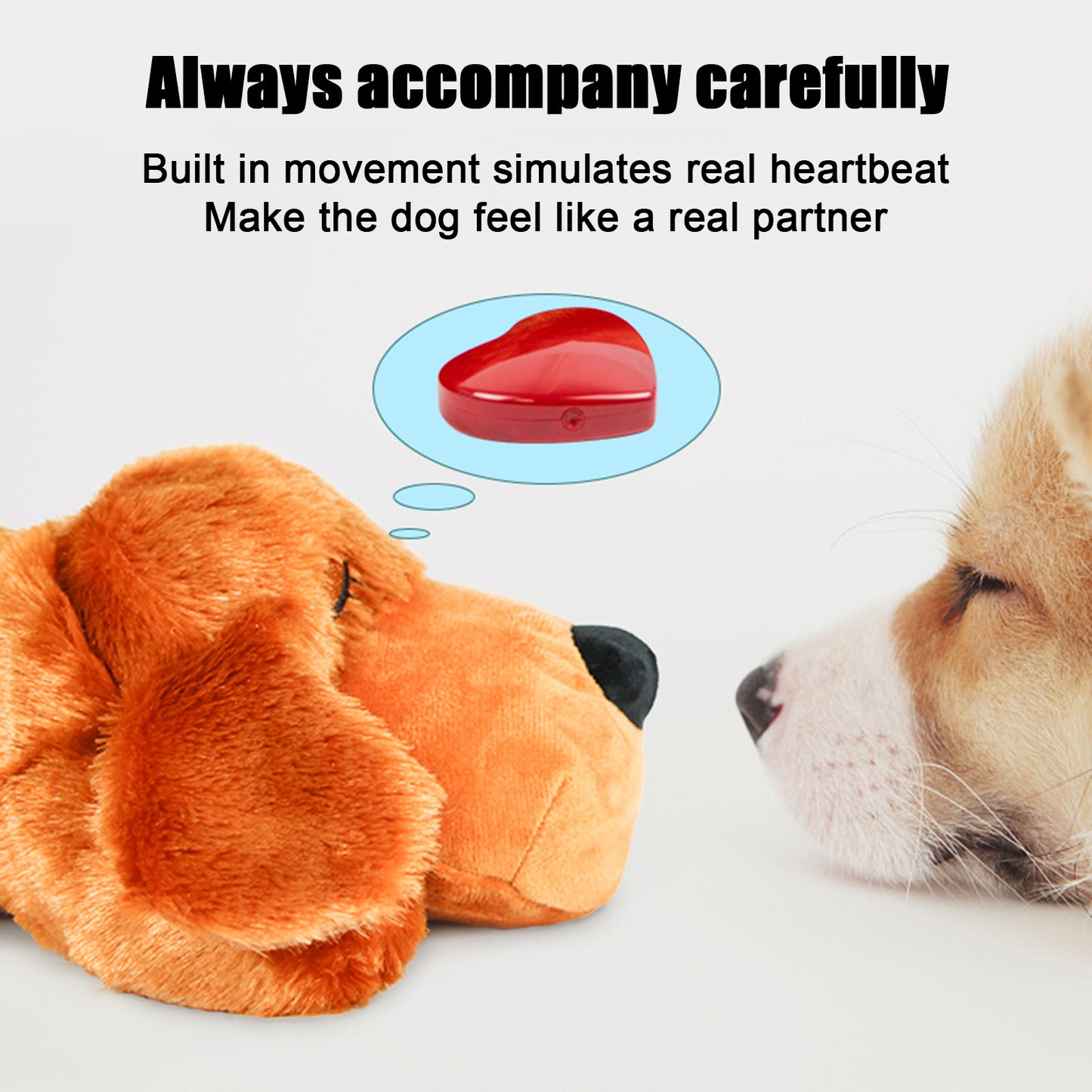 Trendy Pet Comfort Toys – Hot-Selling Fun for Dogs and Cats