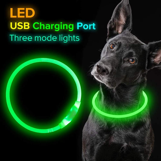 USB Rechargeable LED Pet Collar – Flashing Glowing Dog Necklace for Safe Night Walks