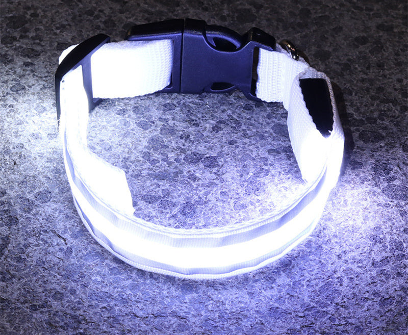 Anti-Lost LED Dog Collar | Luminous Night Safety Collar for Dogs