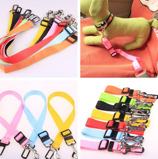 Heavy Duty Dog Leash – Durable No-Pull Training Lead for Small to Large Dogs