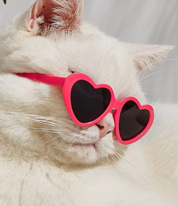 Pet Photo Props Sunglasses – Cute Doll Style Accessories for Dogs & Cats