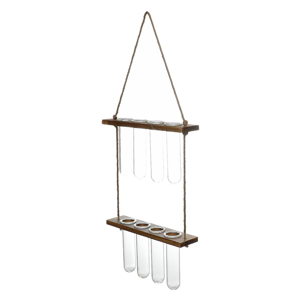 Hanging Glass Plant Propagator – Modern Wall Planter for Home & Office Decor