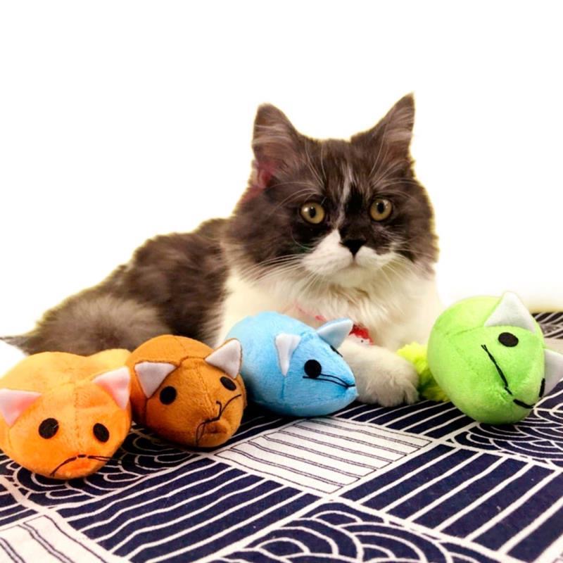 Interactive Cat Mouse Toy – Long Tail Teaser Wand for Kitten/ Cat Play & Exercise