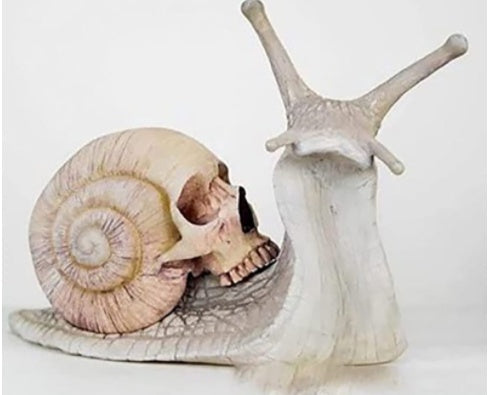 Gothic Snail Sculpture Home Decor – Skull Snail Figurine, Kawaii Aesthetic Room Decor