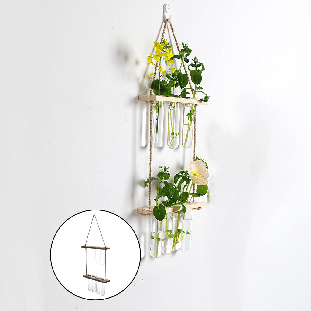Hanging Glass Plant Propagator – Modern Wall Planter for Home & Office Decor