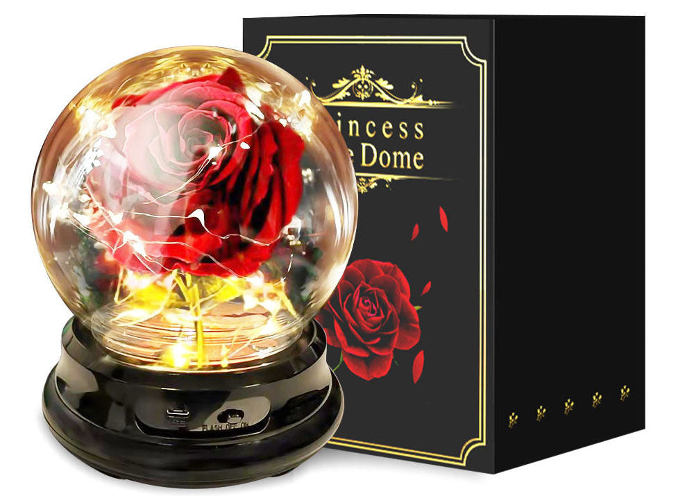 Elegant Forever Preserved Rose Gift for Mother’s Day – Real Dried Flower