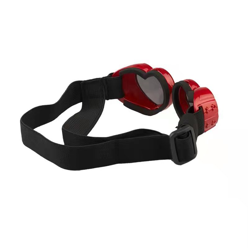 Dog Riding Goggles – Windproof Eye Protection Glasses for Pets