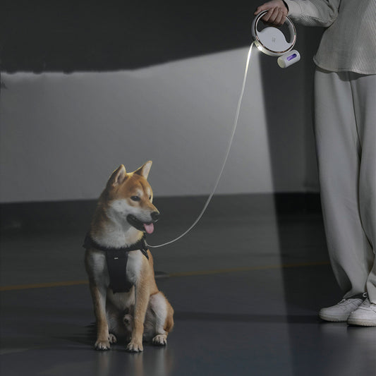 LED Automatic Retractable Dog Leash – Durable Pet Walking Gear