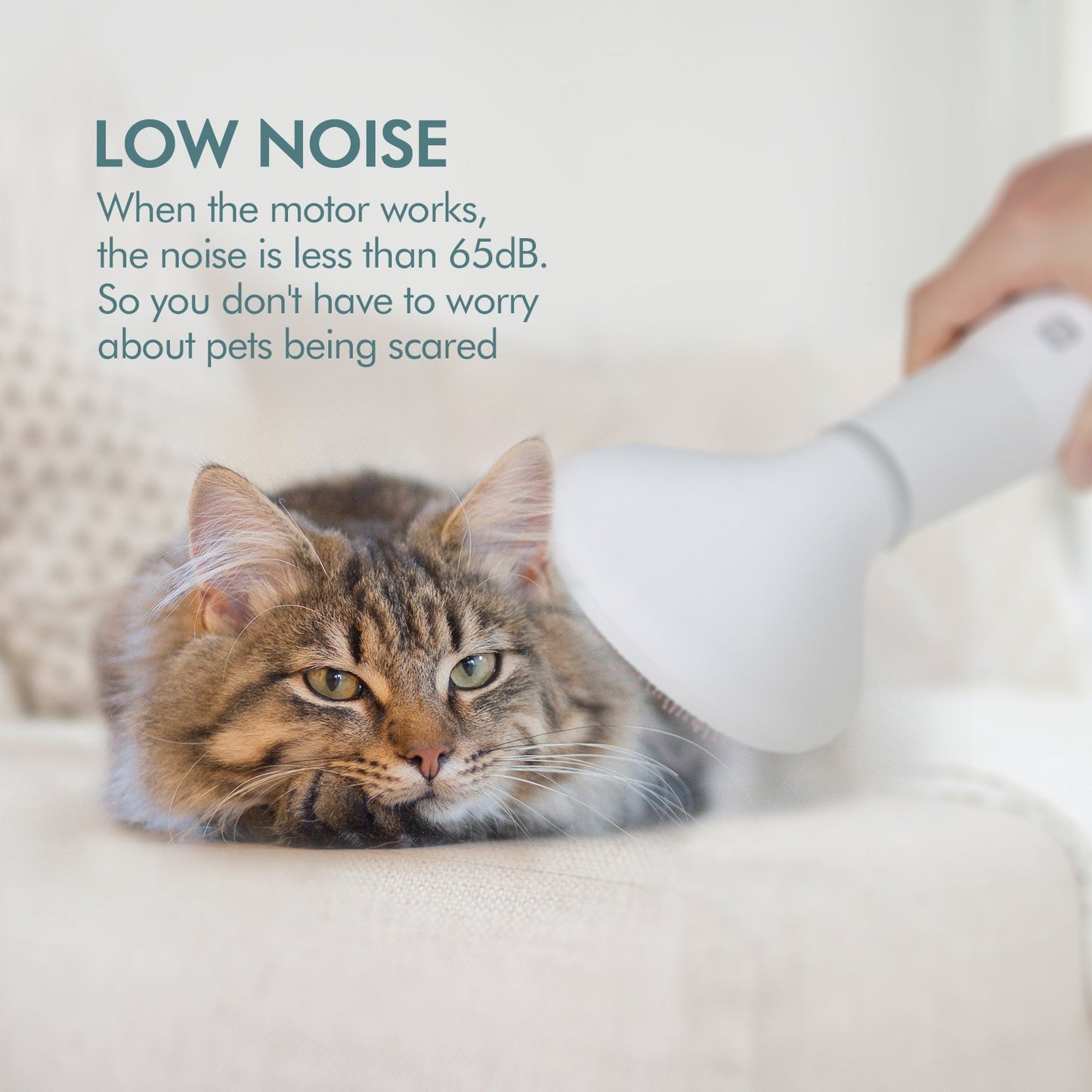Portable Pet Grooming Dryer Brush Dog Hair Dryer Slicker Brush Low Noise Drying Kit