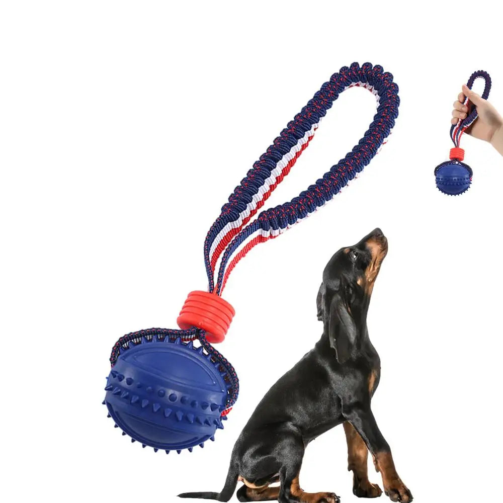 Interactive Dog Ball Toy – Rope Chew Toy for Puppy Teething, Training & Play