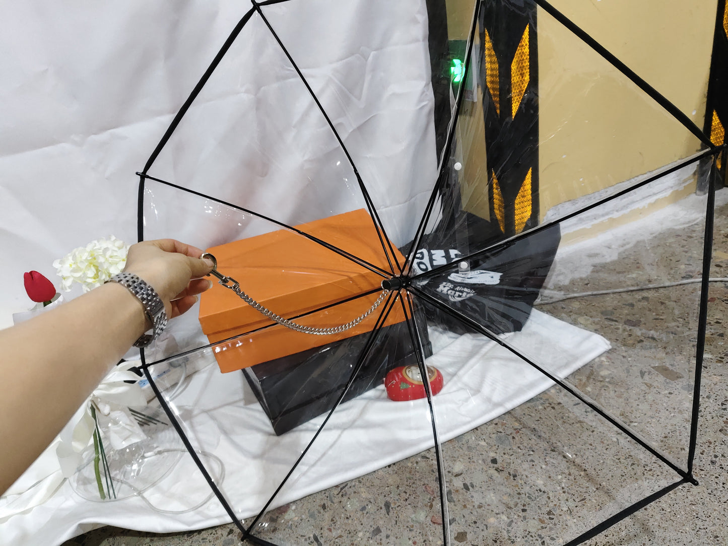 Pet Rain Umbrella – Transparent Dog Umbrella for Walking