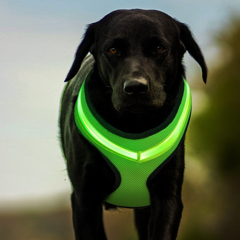 Reflective LED Dog Harness – Night Safety Light Up Vest for Dogs