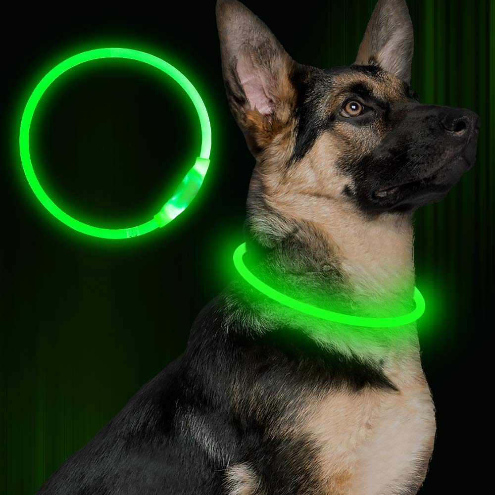 USB Rechargeable LED Pet Collar – Flashing Glowing Dog Necklace for Safe Night Walks