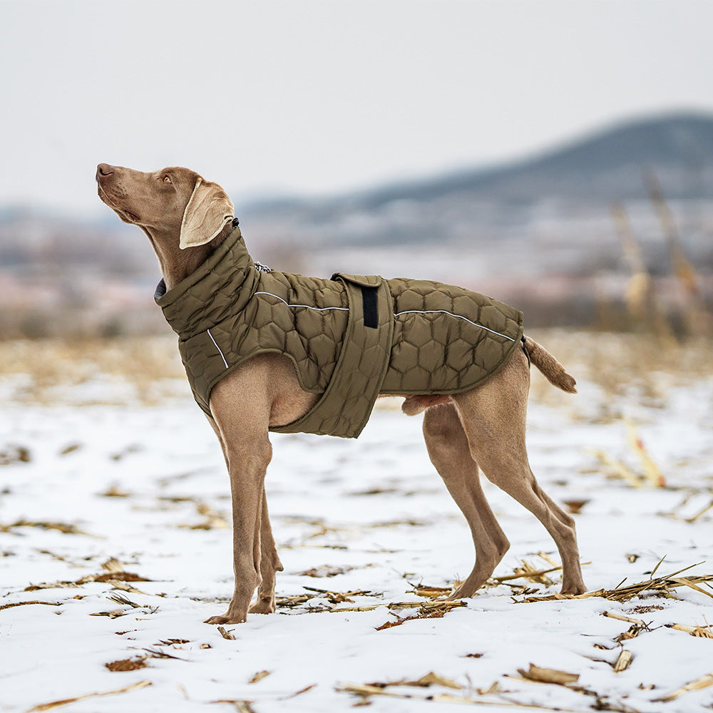 Outdoor Dog Winter Jacket Thickened Warm Coat – Waterproof Pet Clothing