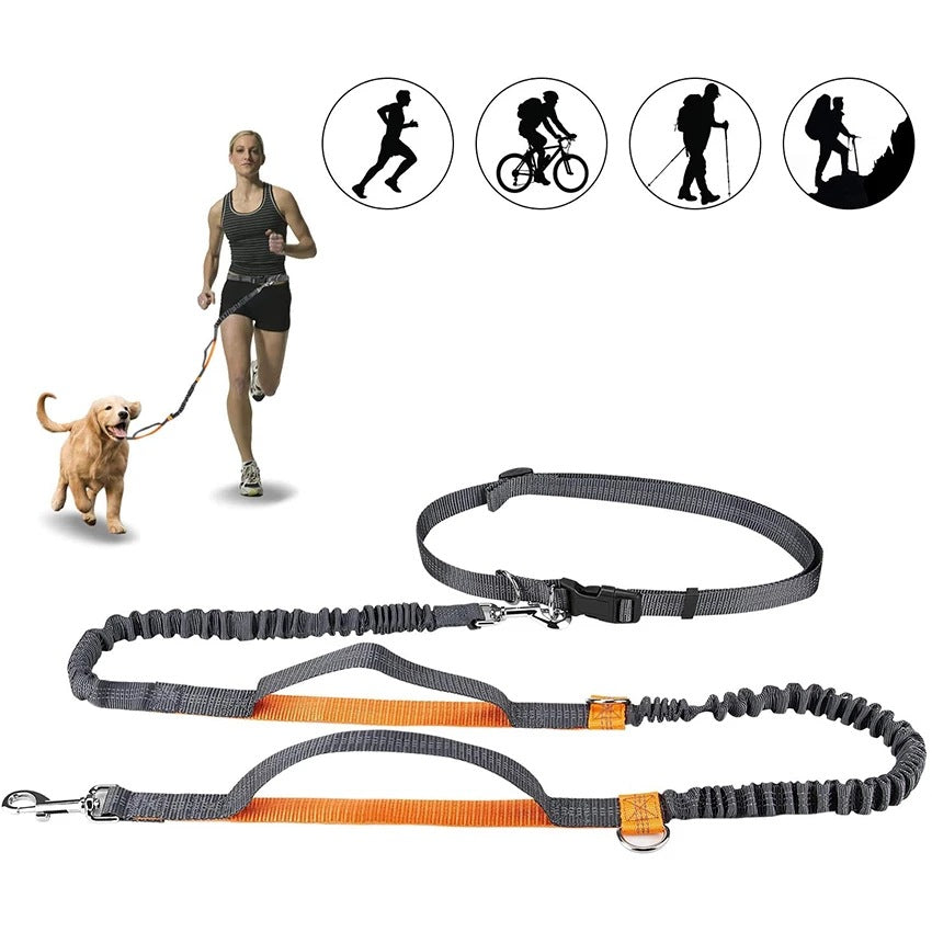 Dog Harness Collar Leash Set Adjustable No Pull Pet Jogging Training Walking System
