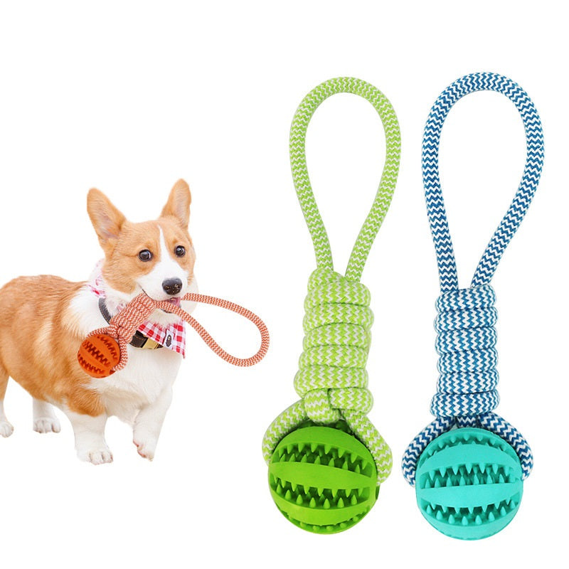 Pet Enrichment Toys – Chew & Treat Balls for Small Dogs and Puppies