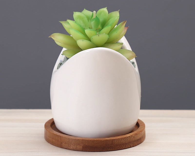 Succulent Pot Cartoon Ceramic Planter