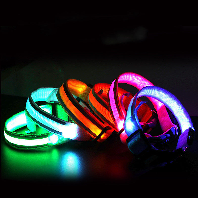 Anti-Lost LED Dog Collar | Luminous Night Safety Collar for Dogs