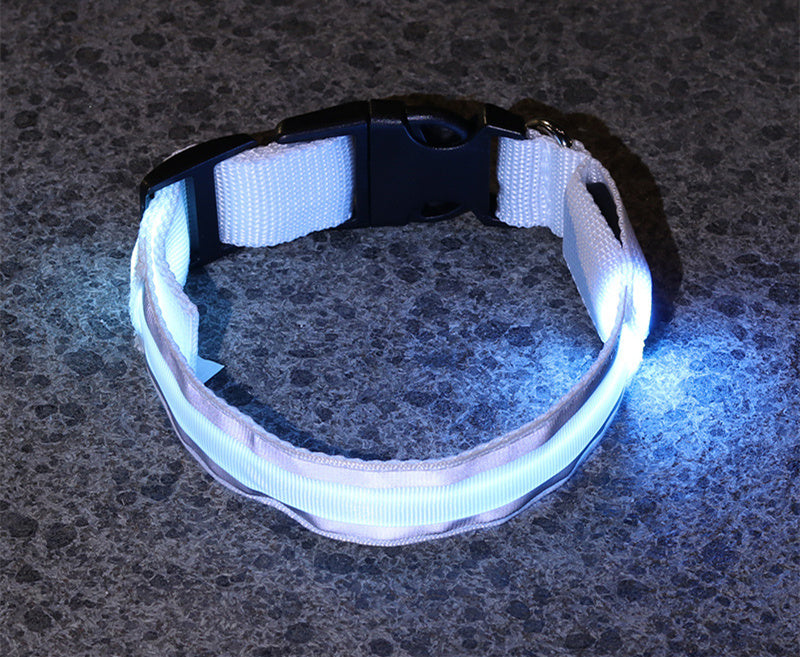 Anti-Lost LED Dog Collar | Luminous Night Safety Collar for Dogs