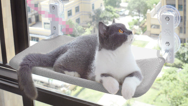 Cat Window Hammock Suction Cup Bed – Space Saving Sunbathing Perch for Indoor Cats