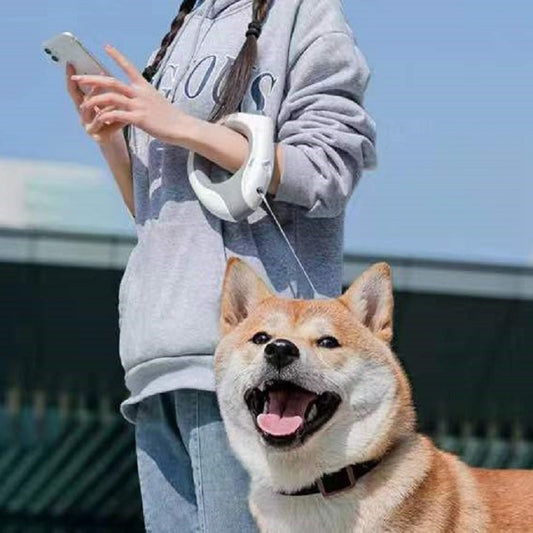 Smart LED Dog Leash – Automatic Retractable Anti-Tangle Leash