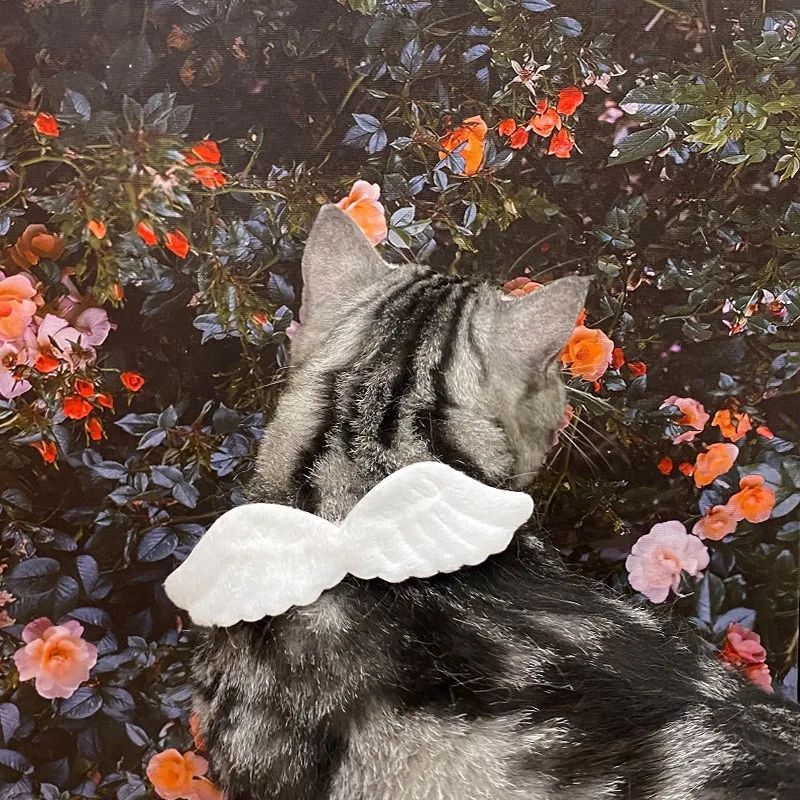 Cat & Dog Angel Wings Collar – White Butterfly Pet Fashion Accessories