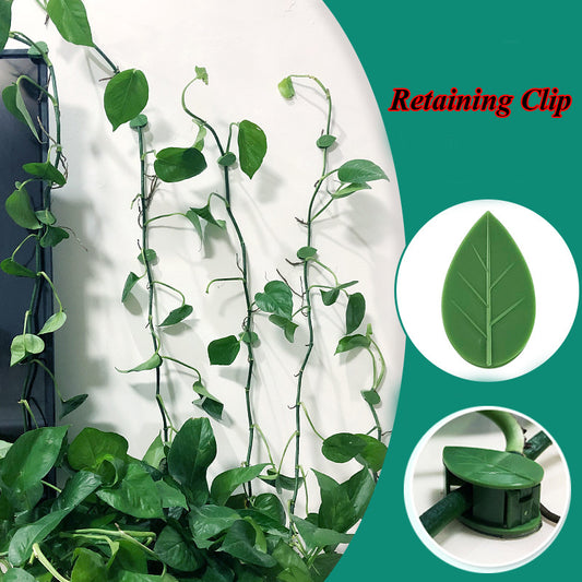 Garden Plant Climbing Clips – Self Adhesive Wall Fixer for Vines, Flowers & Green Plants