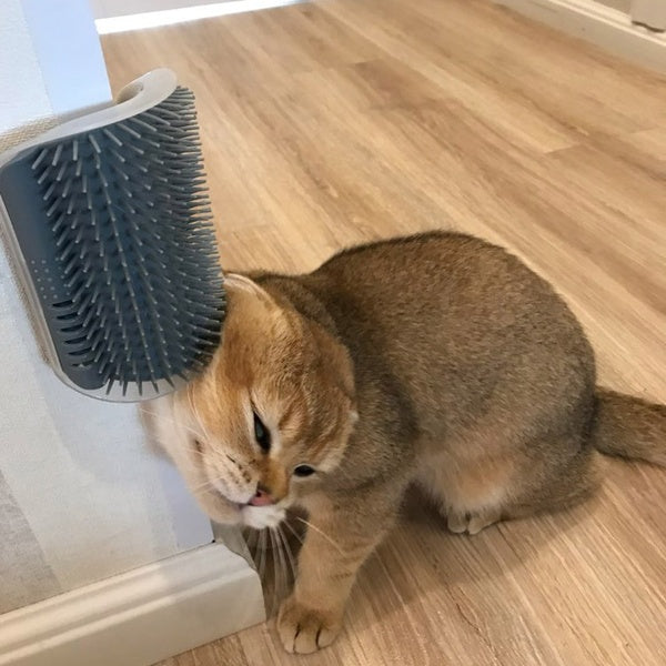 Cat Self Grooming Massager – Wall Brush for Hair Removal & Anxiety Relief