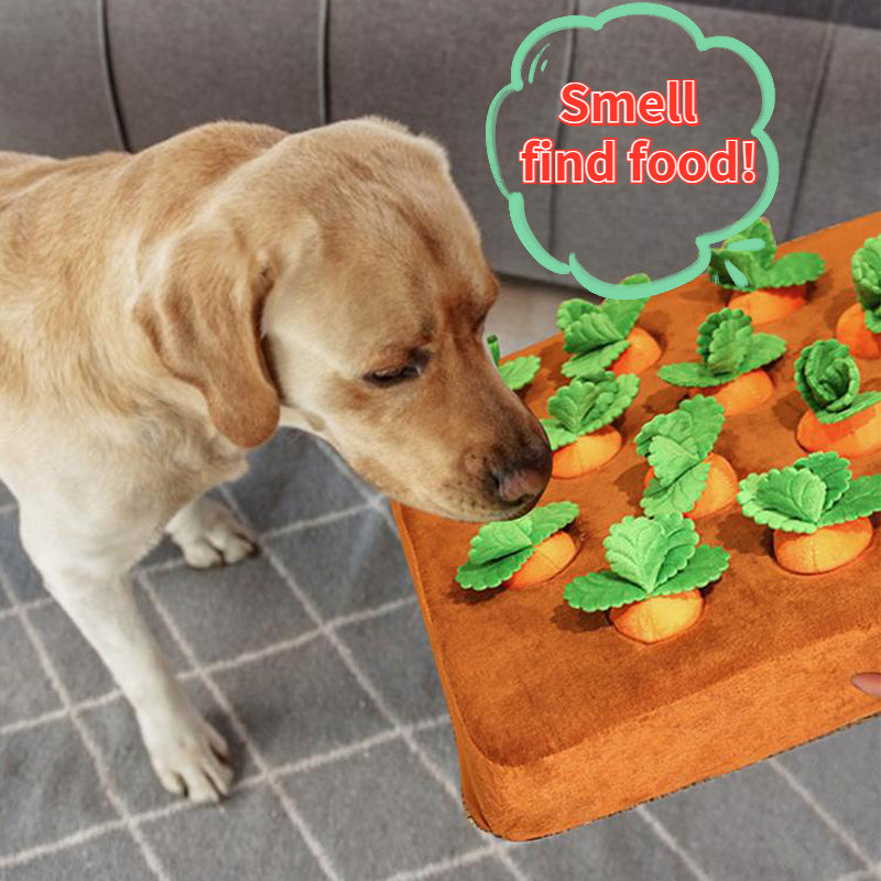 Interactive Carrot Dog Toy