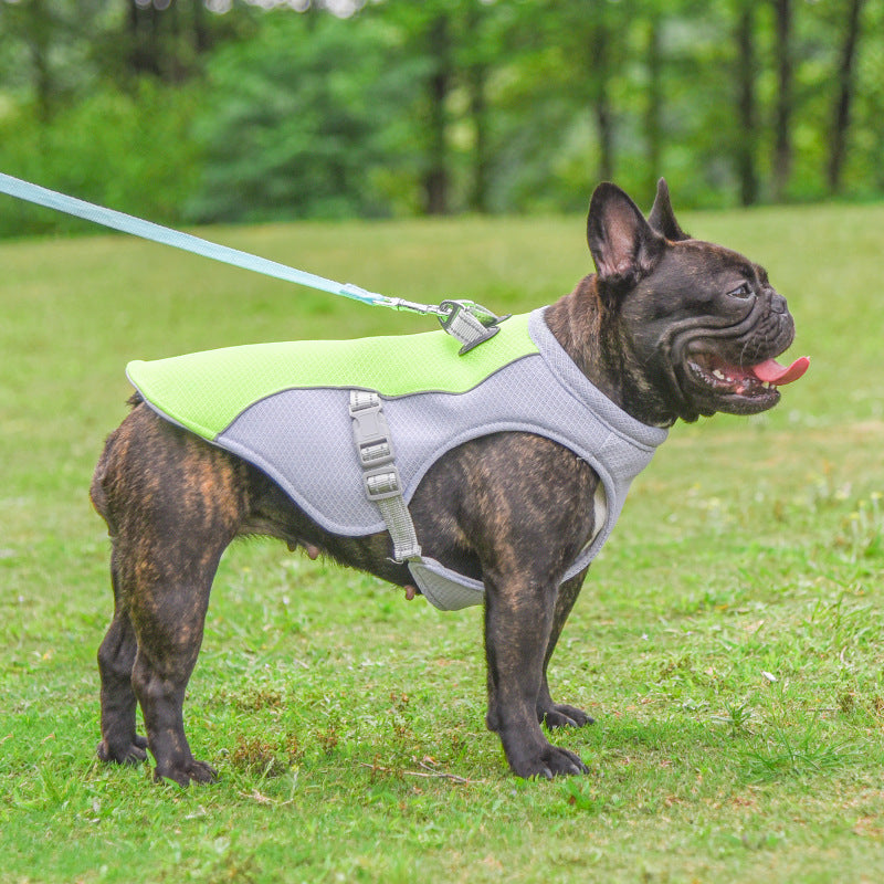 Dog Cooling Vest – Breathable Summer Heat‑Resistant Pet Clothes for Outdoor Walks