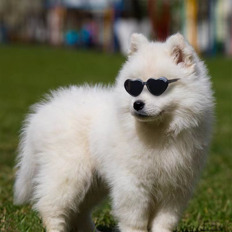 Pet Photo Props Sunglasses – Cute Doll Style Accessories for Dogs & Cats