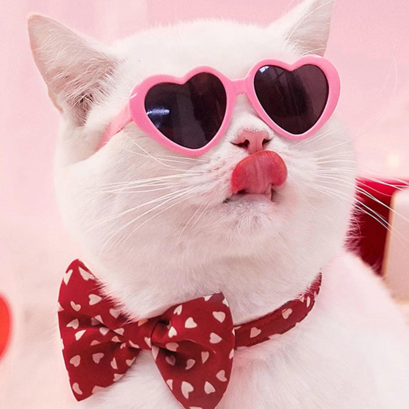 Pet Photo Props Sunglasses – Cute Doll Style Accessories for Dogs & Cats