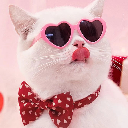 Pet Photo Props Sunglasses – Cute Doll Style Accessories for Dogs & Cats