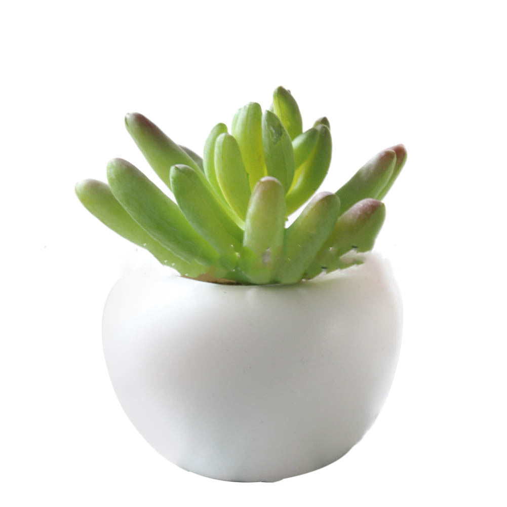 Mini Artificial Succulent Fridge Magnets – Decorative Plant Refrigerator Stickers