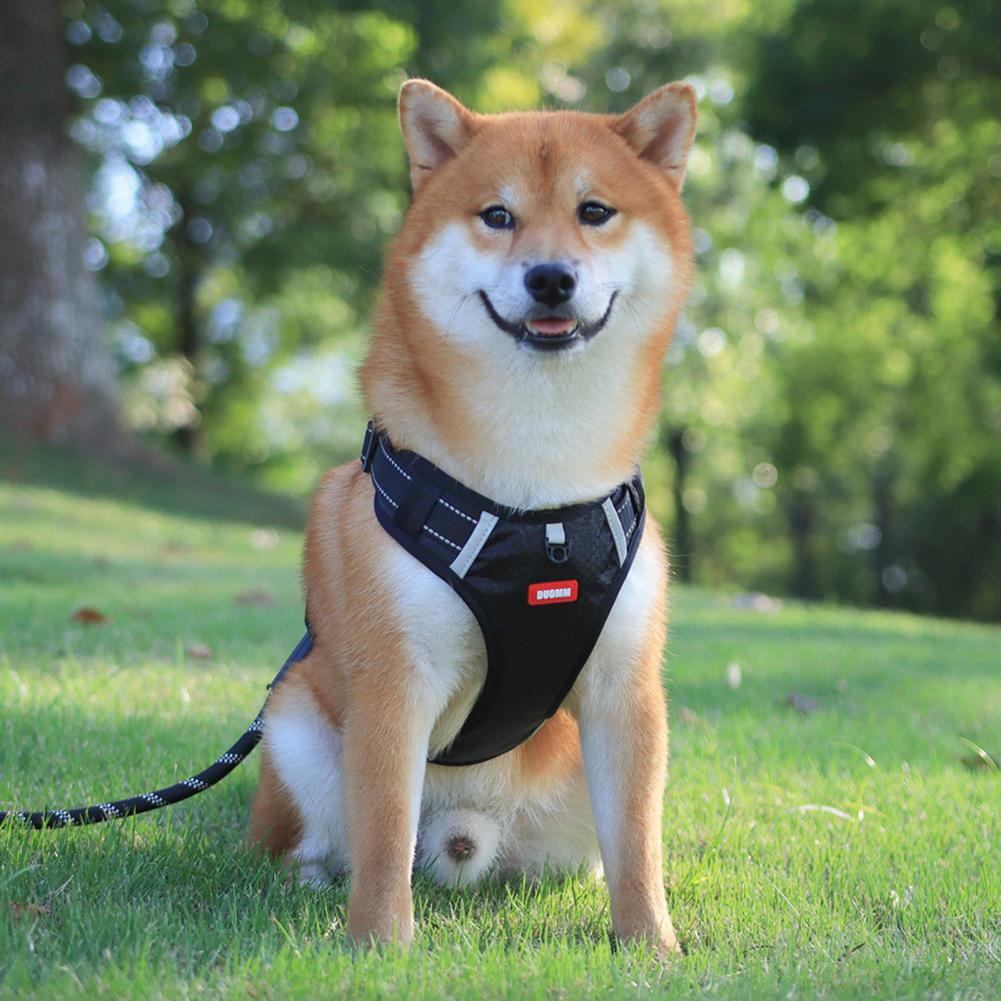 Easy Control Dog Harness – No Pull Breathable Reflective Training Vest for Pets