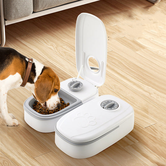 Smart Timed Pet Feeder – Automatic Cat & Dog Food Dispenser with Stainless Steel Bowl